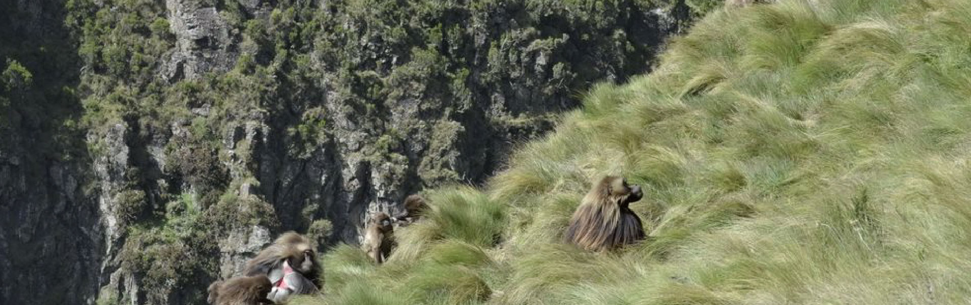  Menze Guassa Eco Trekking 